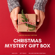 Christmas Mystery Gift Box – Limited Holiday Edition