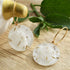 Gold filled hoop earrings with clear resin seed charms